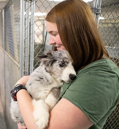 Simon Says Foundation