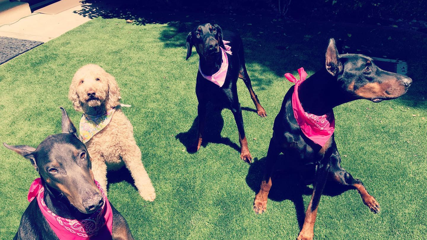 Simon Says Foundation