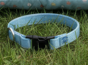 Official Simon Says Rescue Collar