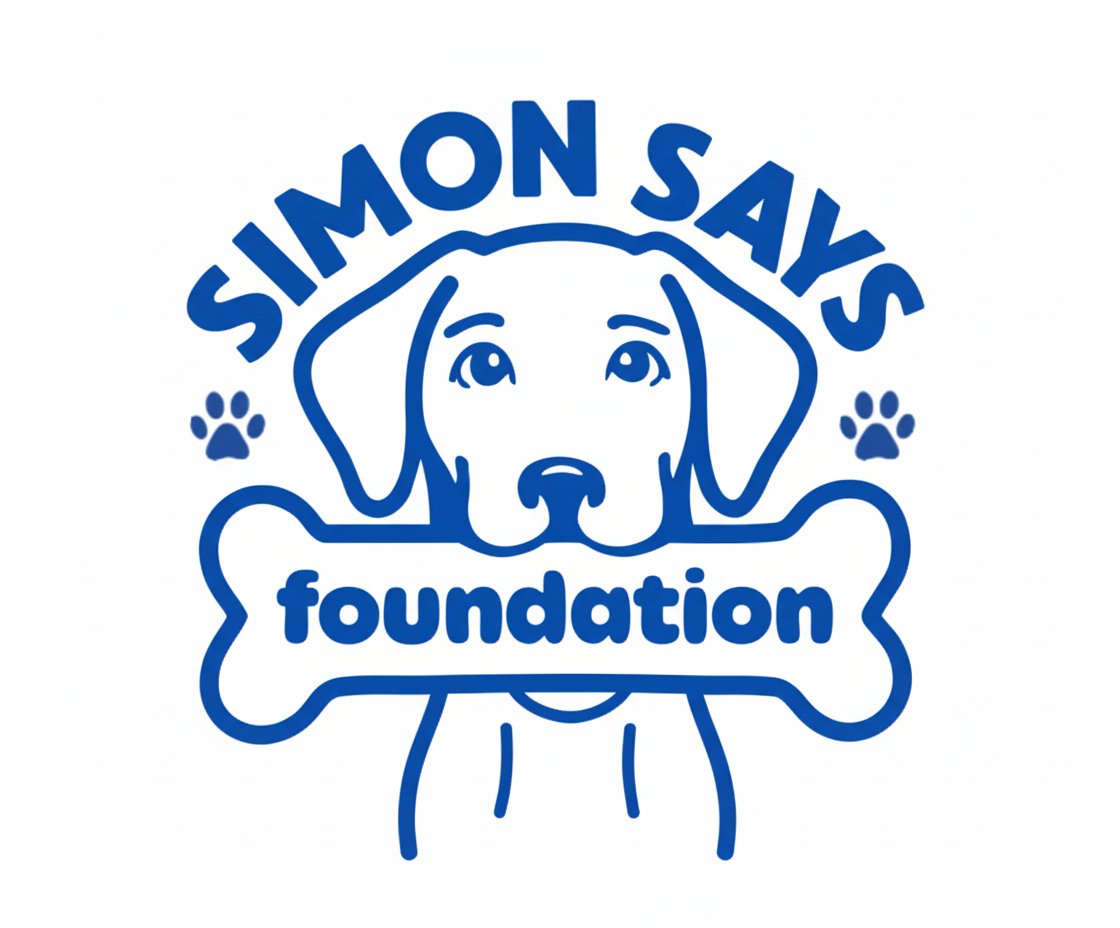 Simon Says Foundation