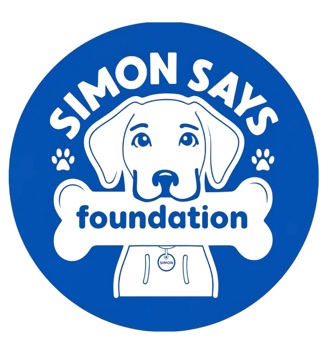 Simon Says Foundation